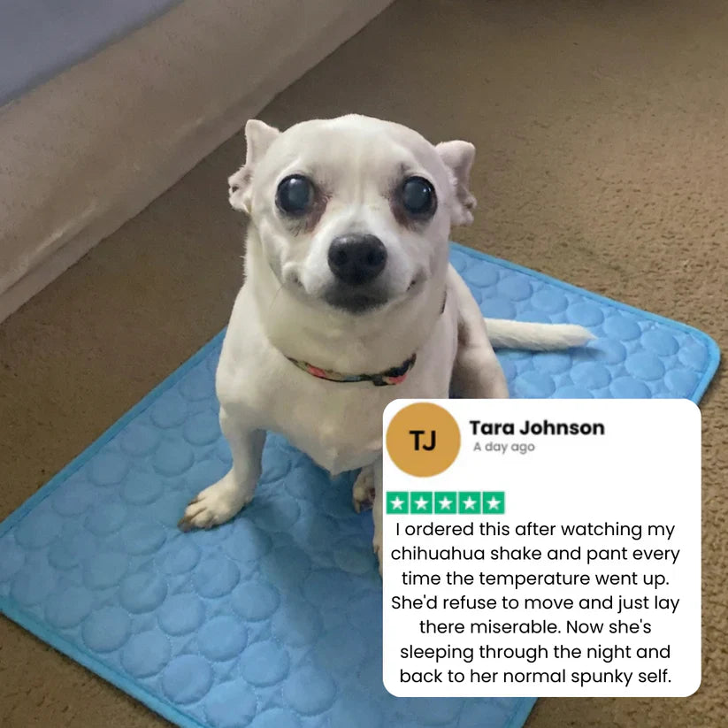 Fanyil™ DreamPaws CoolBreath Mat